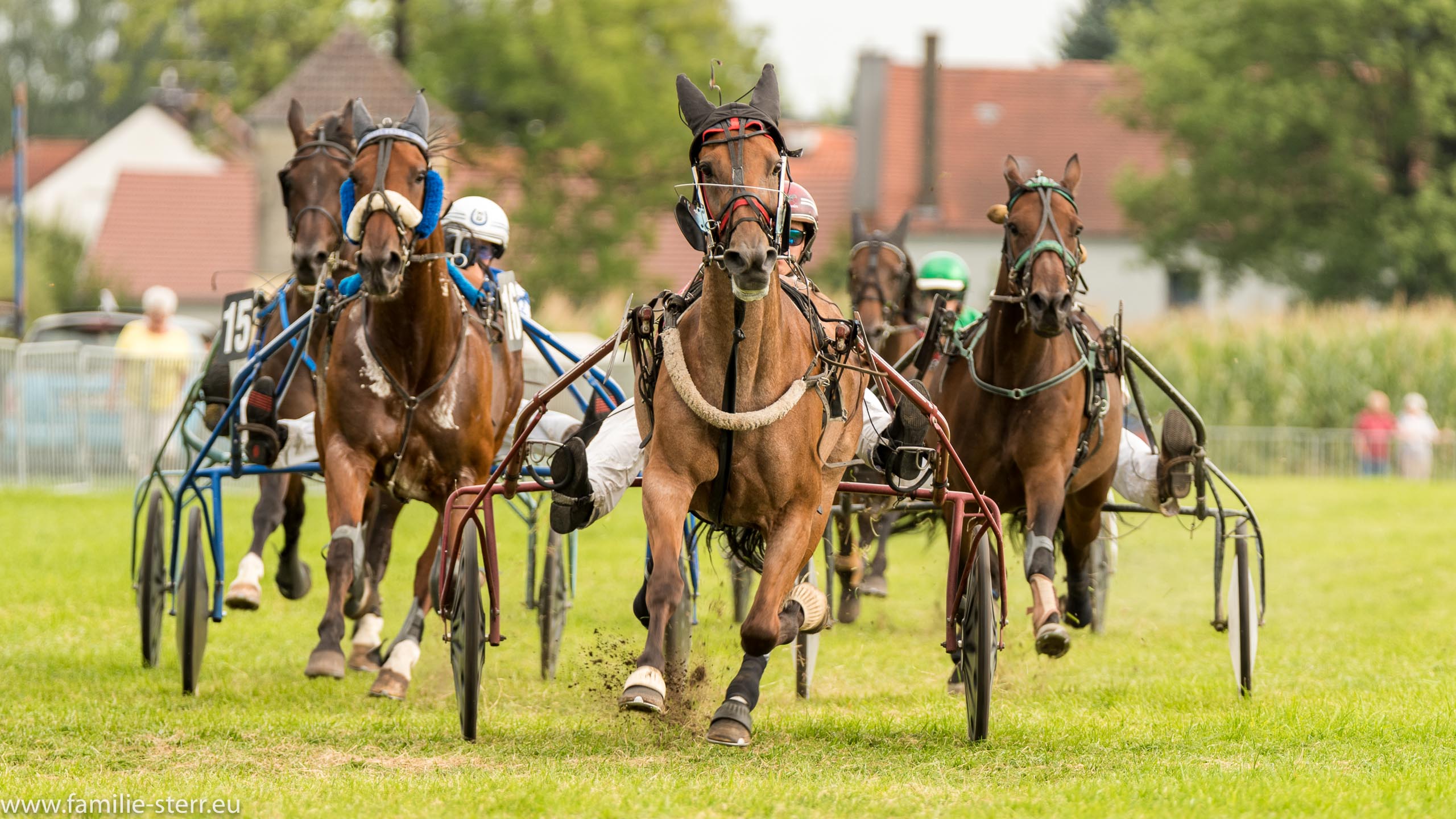 Trabrennen in Erding 2017